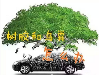我如何清洗我車上的口香糖？
