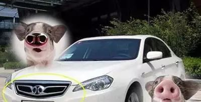 [車標資訊]全球最美車標，最