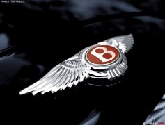 車標(biāo)帶B的都很牛，不過一般人