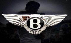 全球最牛的8大豪車標(biāo)，不認(rèn)識(shí)