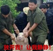 這些相似度高達80%的汽車標(biāo)志
