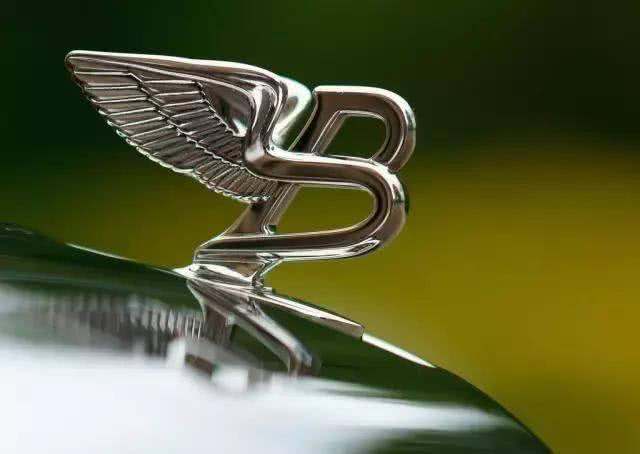 史上較貴的3個(gè)車標(biāo)，較貴的價(jià)值25萬