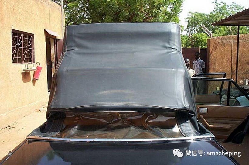 99.9%的人都不知道這車LOGO是雞！