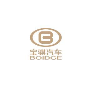 這臺純電動汽車LOGO里帶B，但并不是比亞迪，很多人都不認識