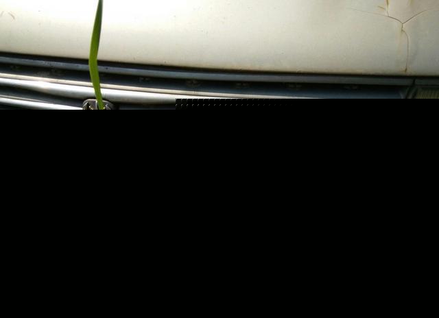 草叢里的一輛廢棄豪車無人認領(lǐng)，認識這個車標的都是有故事的人