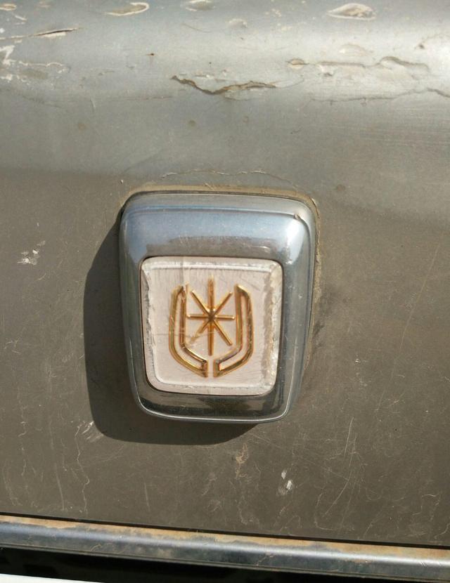 草叢里的一輛廢棄豪車無人認領(lǐng)，認識這個車標的都是有故事的人