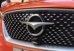 海馬汽車終于換車標(biāo)啦！居然