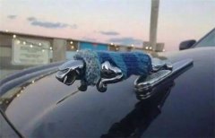 據(jù)說，改車標被認定為非法改