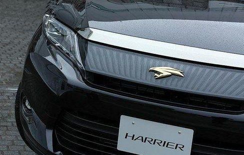 豐田全新漢蘭達(dá)來了！換上新車標(biāo)僅14萬起，網(wǎng)友：太霸氣了