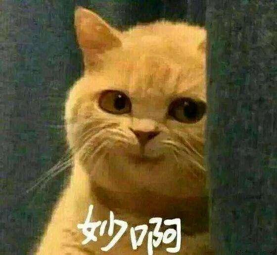 勞斯萊斯車(chē)標(biāo)的伸縮功能，不僅僅是為了防丟設(shè)計(jì)的&middot;&middot;&middot;