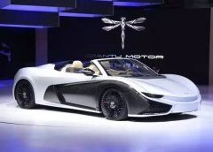 以「蜻蜓」做車標(biāo)、純電動超