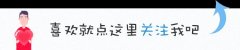 比亞迪20t發(fā)動機怎么樣(比亞迪4s店)
